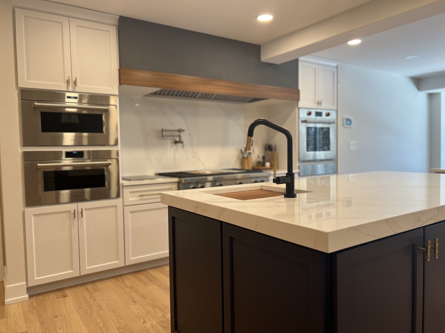 Lisle whole-home renovation kitchen